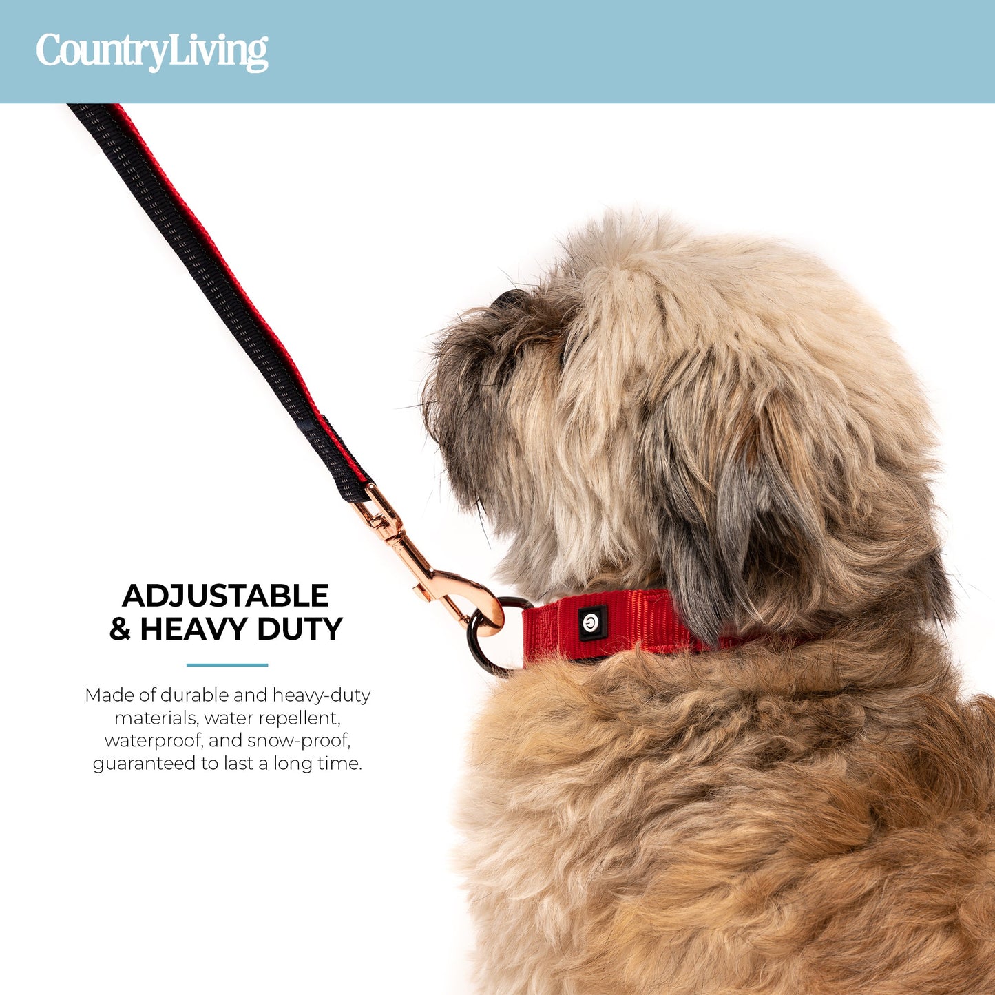 LED dog collar.