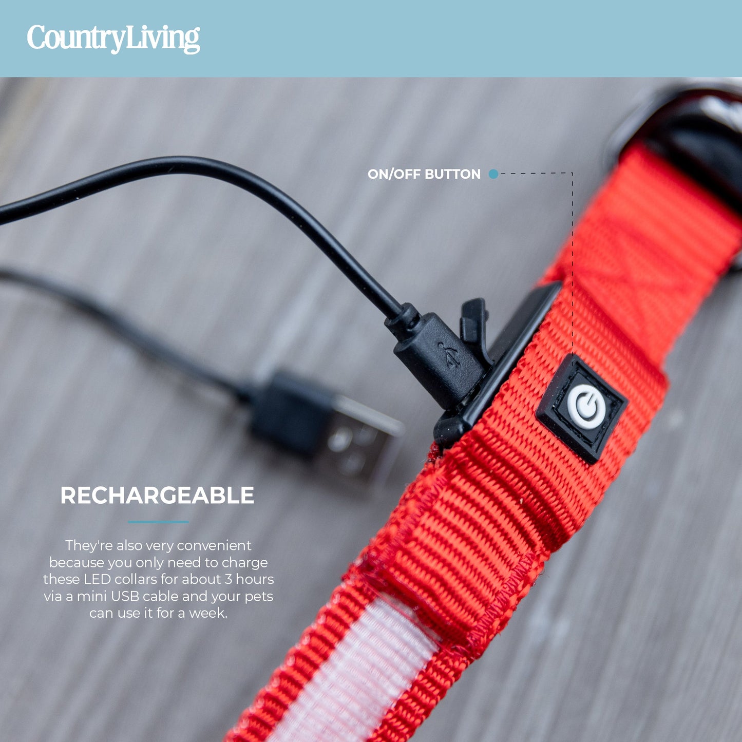 LED dog collar.
