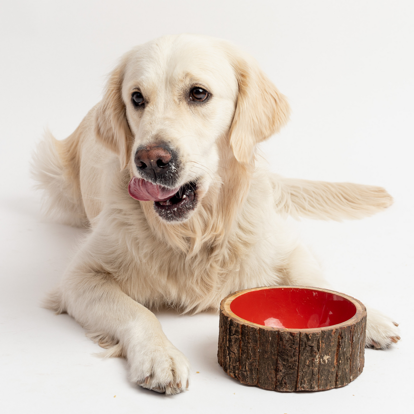 Farmhouse wooden dog bowl.