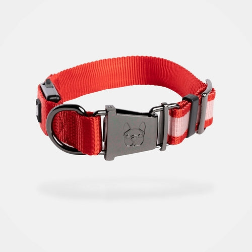 LED dog collar.