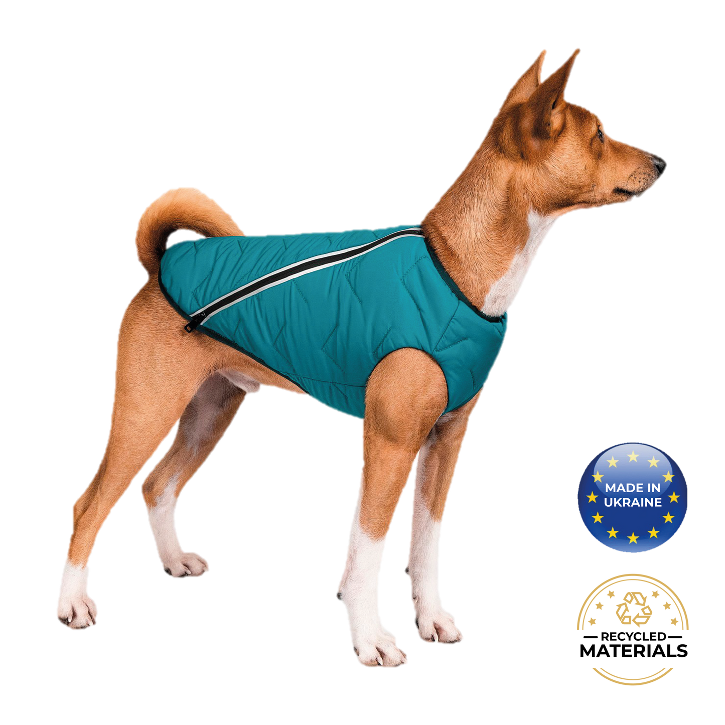 Support Ukraine!  Durable, eco-friendly jacket for dogs