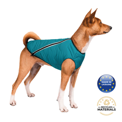 Support Ukraine!  Durable, eco-friendly jacket for dogs