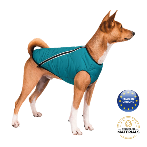 Support Ukraine!  Durable, eco-friendly jacket for dogs