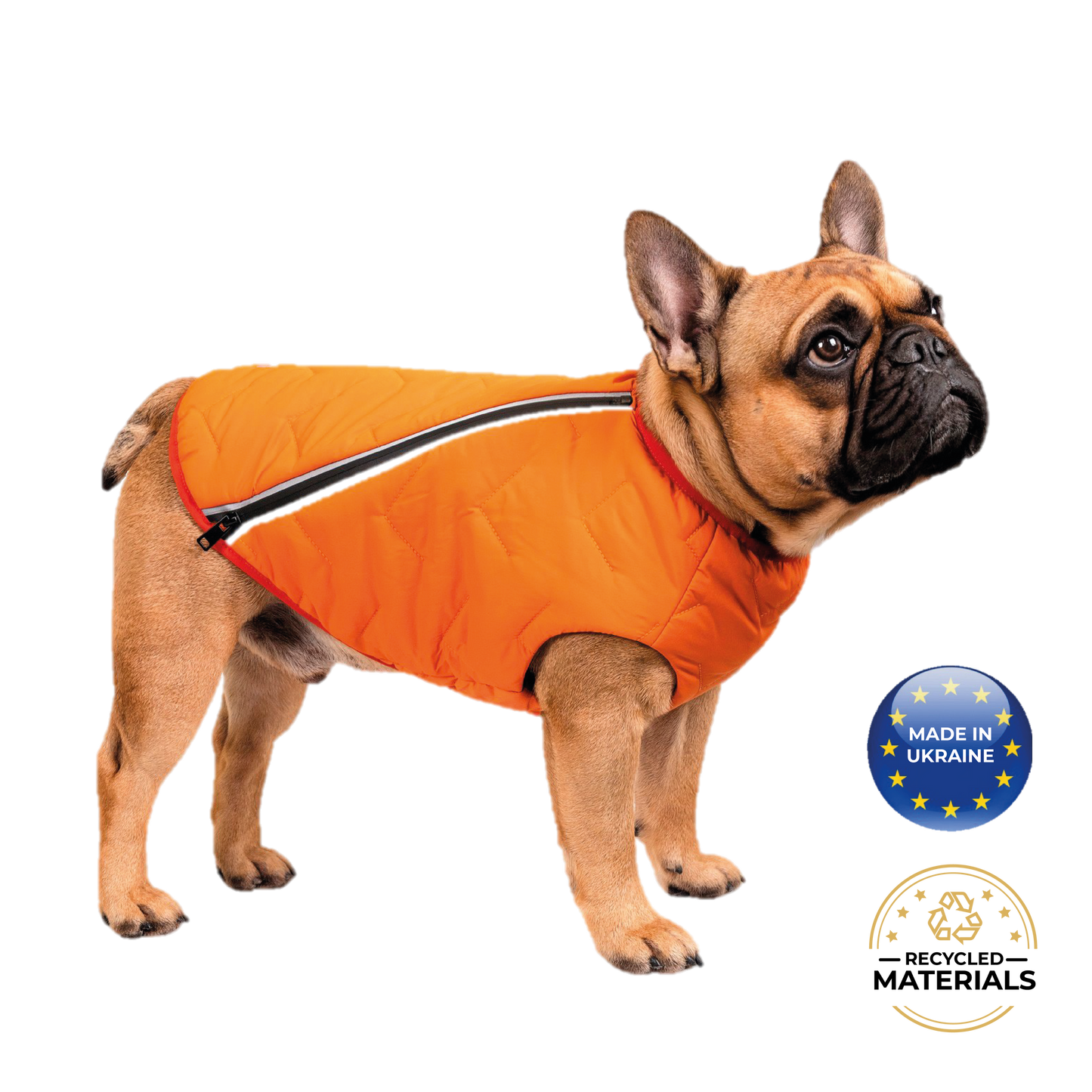 Support Ukraine!  Durable, eco-friendly jacket for dogs