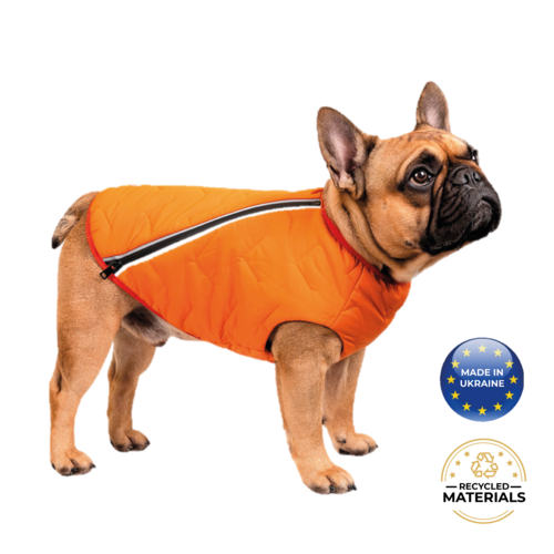 Support Ukraine!  Durable, eco-friendly jacket for dogs