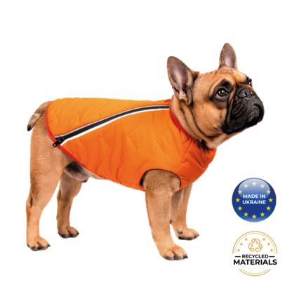 Support Ukraine!  Durable, eco-friendly jacket for dogs