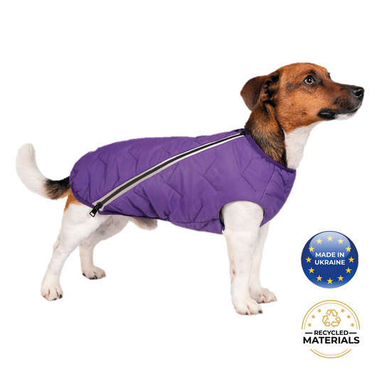 Support Ukraine!  Durable, eco-friendly jacket for dogs - Pattes et Moustaches