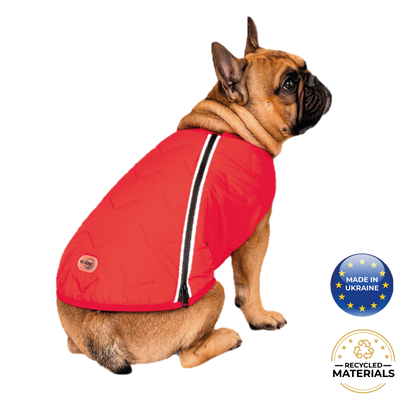 Support Ukraine!  Durable, eco-friendly jacket for dogs