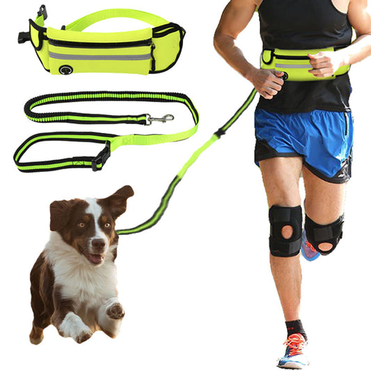 Fanny pack for pets