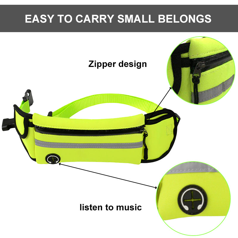 Fanny pack for pets