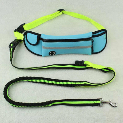 Fanny pack for pets