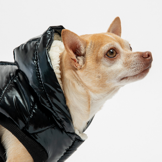 Insulated dog jacket