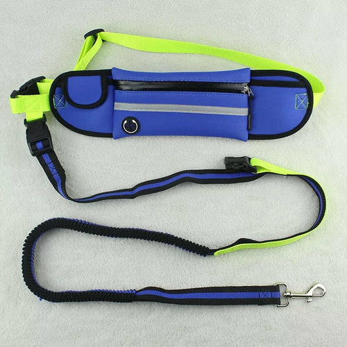 Fanny pack for pets