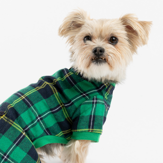 Dog plaid pajamas.