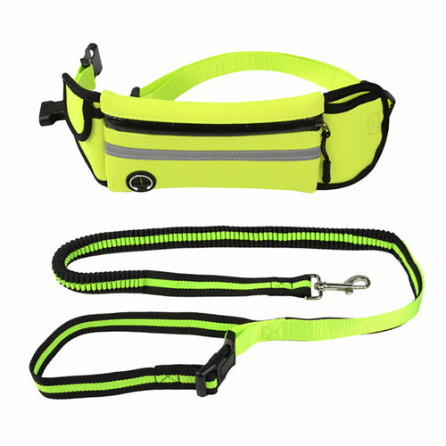 Fanny pack for pets