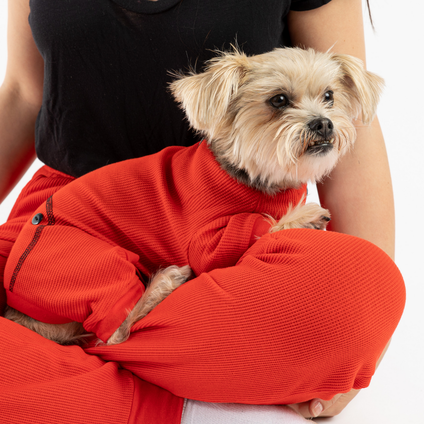 Vêtements thermiques pour chiens