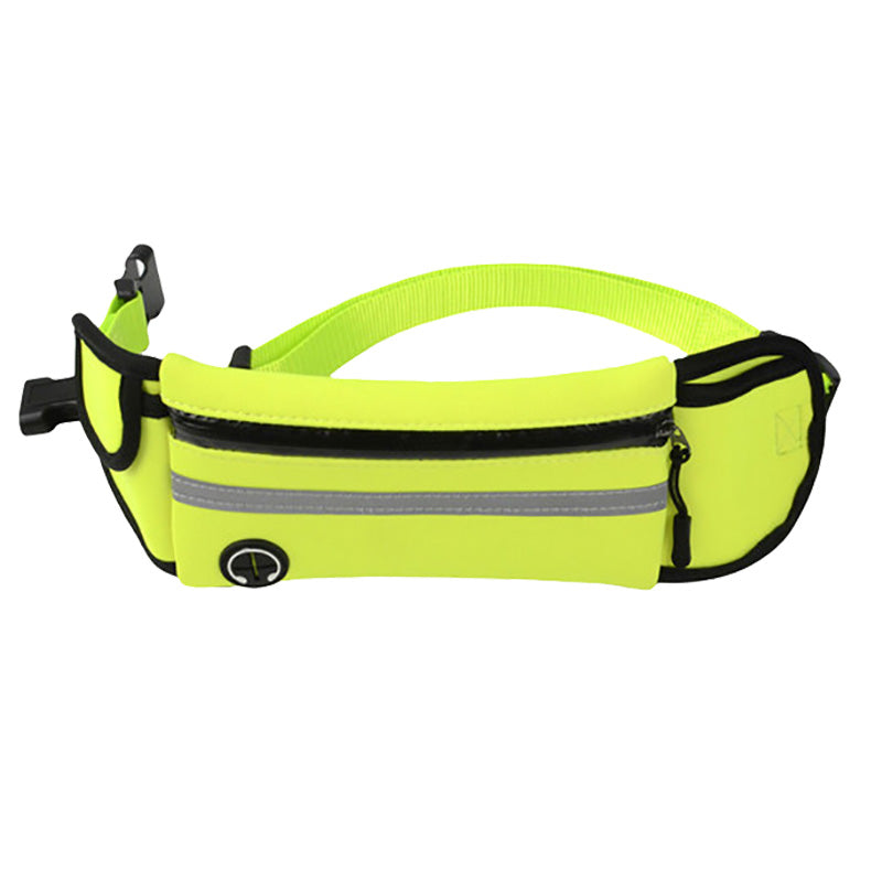 Fanny pack for pets