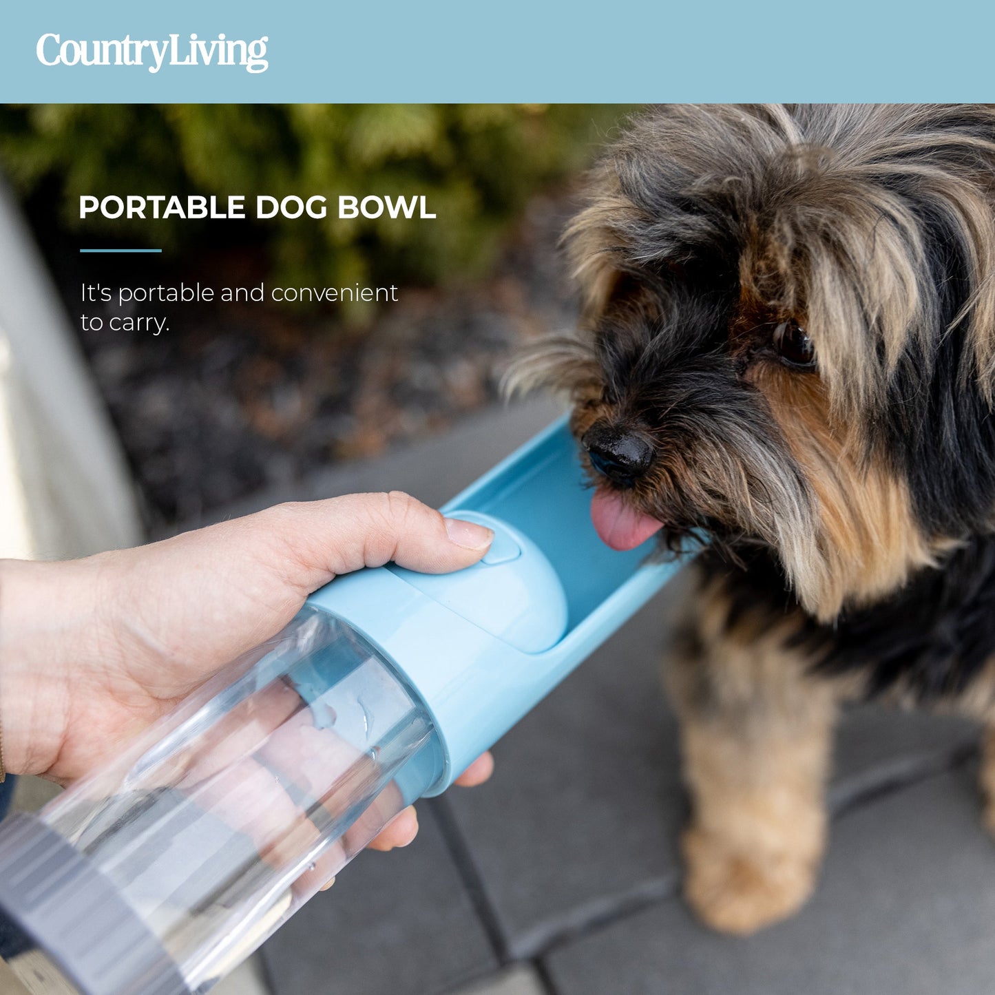 Bouteille d'eau portable pour chiens - avec filtre à charbon