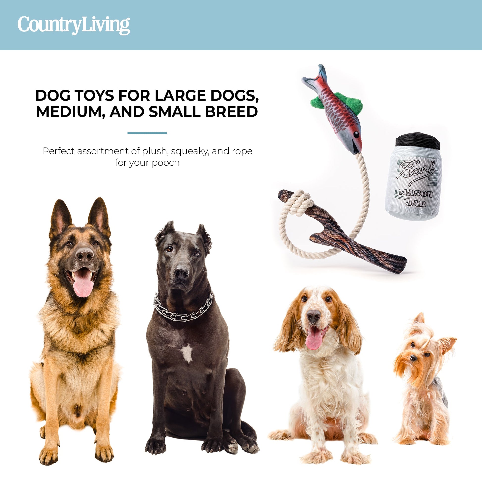 Fish & Mason Jar Dog Toys 2 Pack.