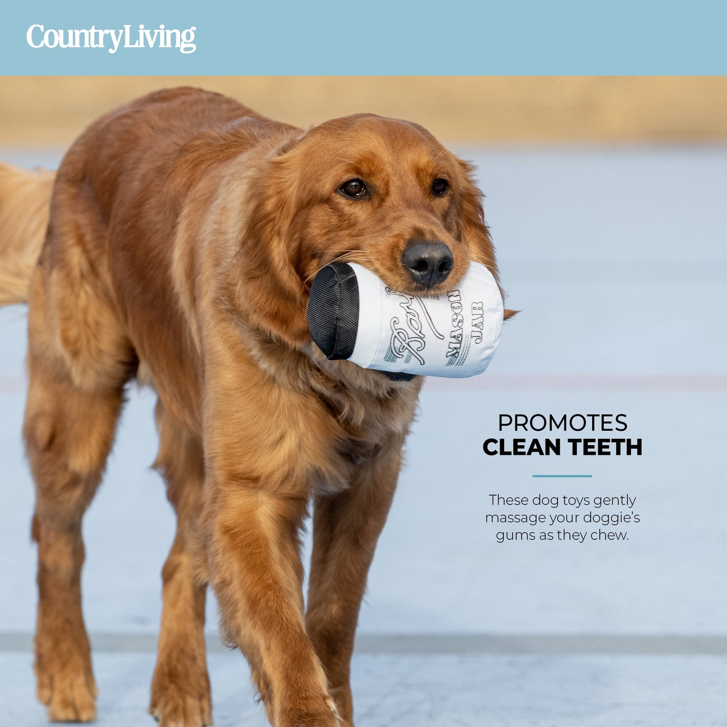 Fish & Mason Jar Dog Toys 2 Pack.