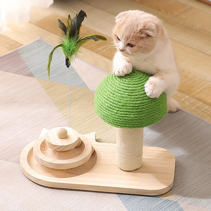 Kitten tree with toy