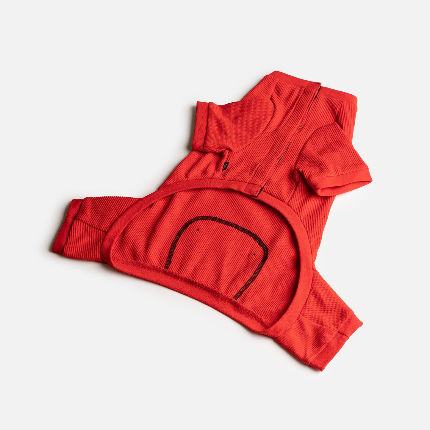 Vêtements thermiques pour chiens