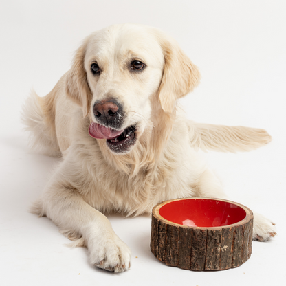 Farmhouse wooden dog bowl