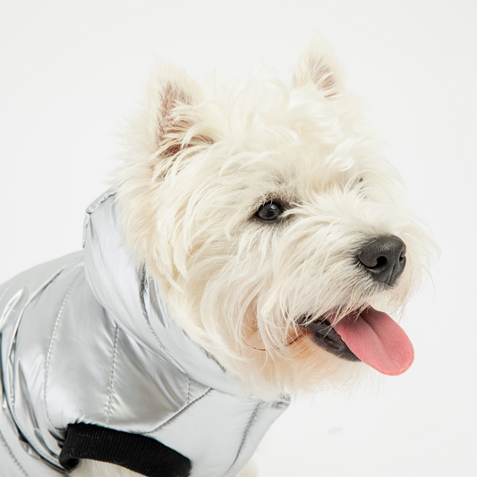 Emma insulated dog jacket