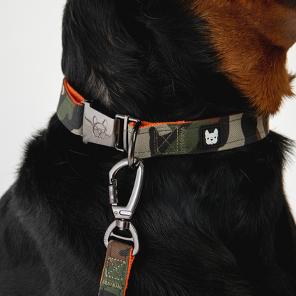 Poplin dog leash