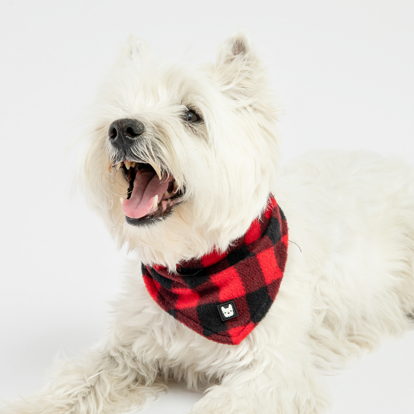 Bandana pour chien à carreaux - Rouge