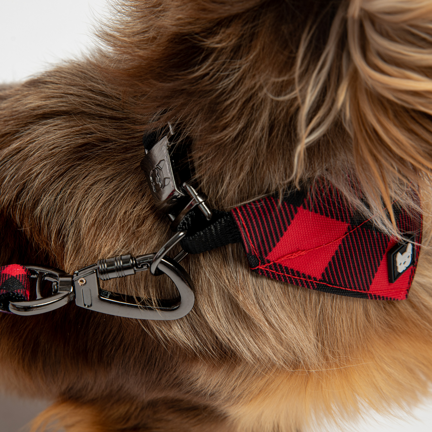 Poplin dog leash