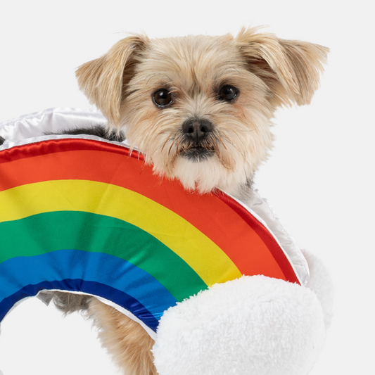 Jacket - Rainbow dog costume.