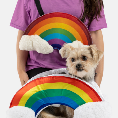 Jacket - Rainbow dog costume