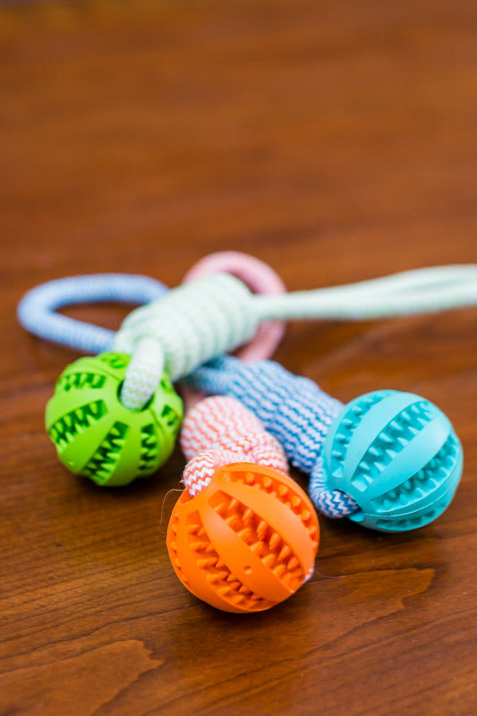 Durable rubber chew toy with cotton rope.